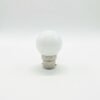 0.5w Vesak Bulb White