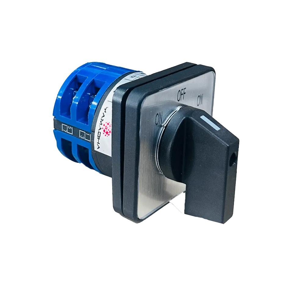 32A 2 Pole Changeover Switch