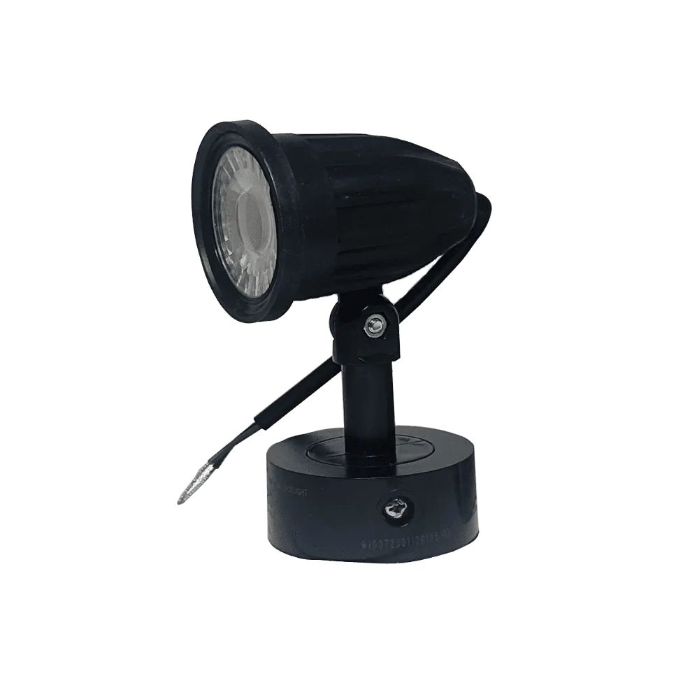 Spot Light