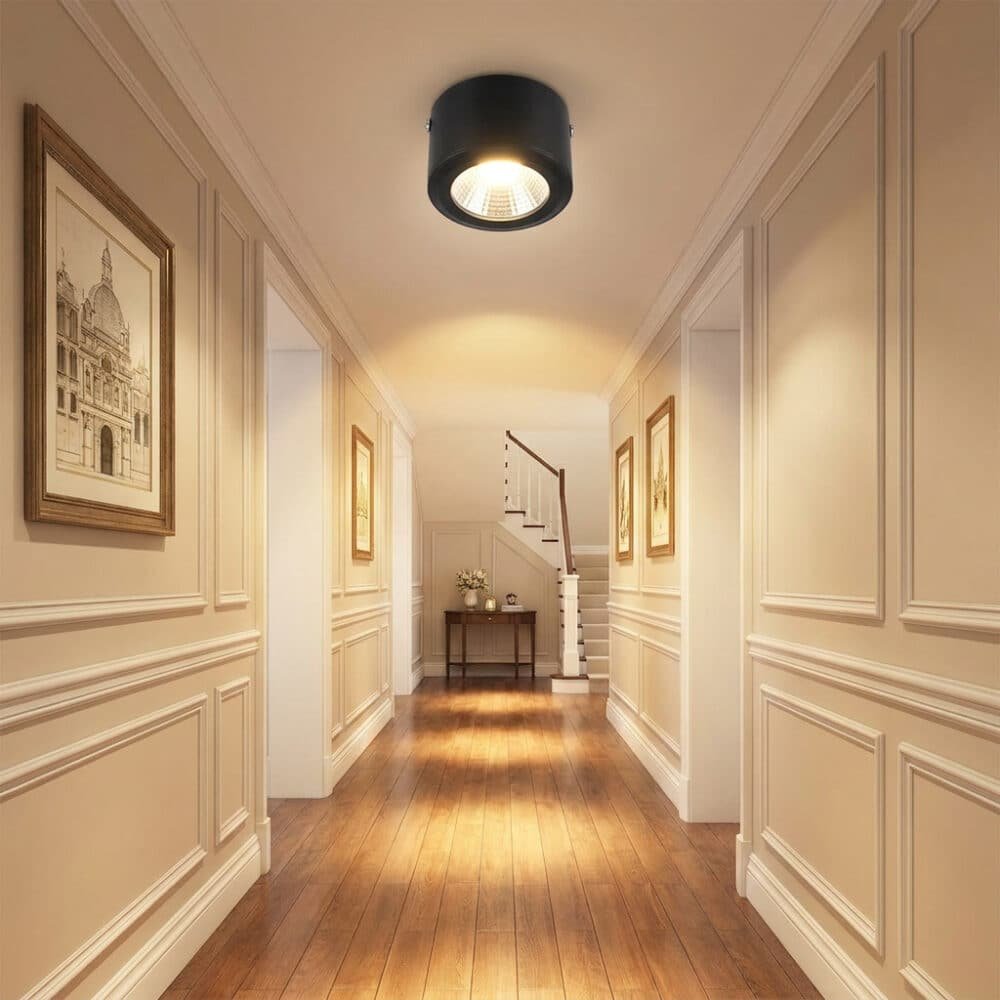 LED Down Light