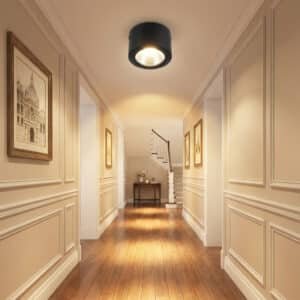 LED Down Light