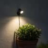 5W Spot Light