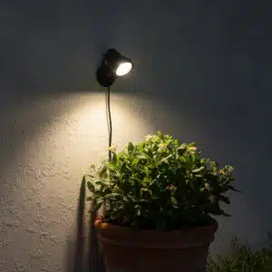 5W Spot Light
