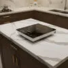 Infrared Cooker