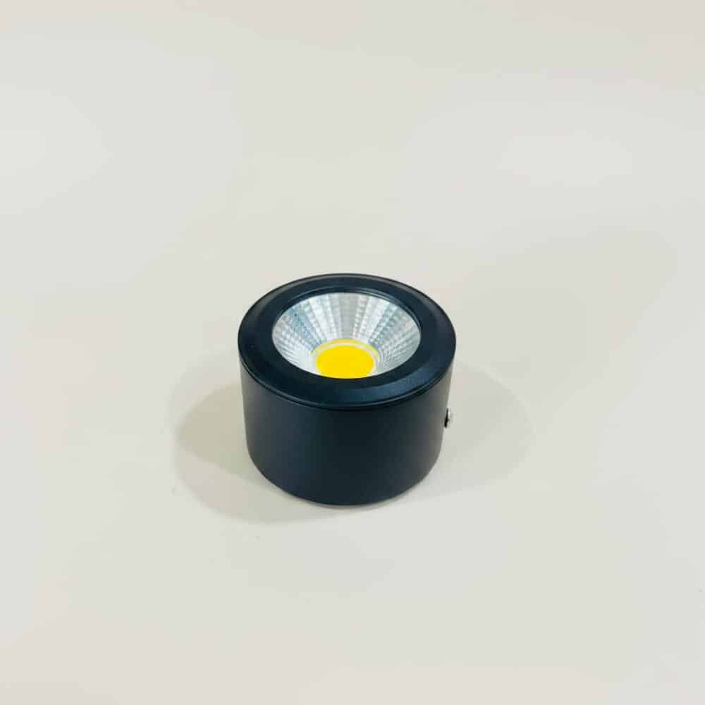LED Down Light