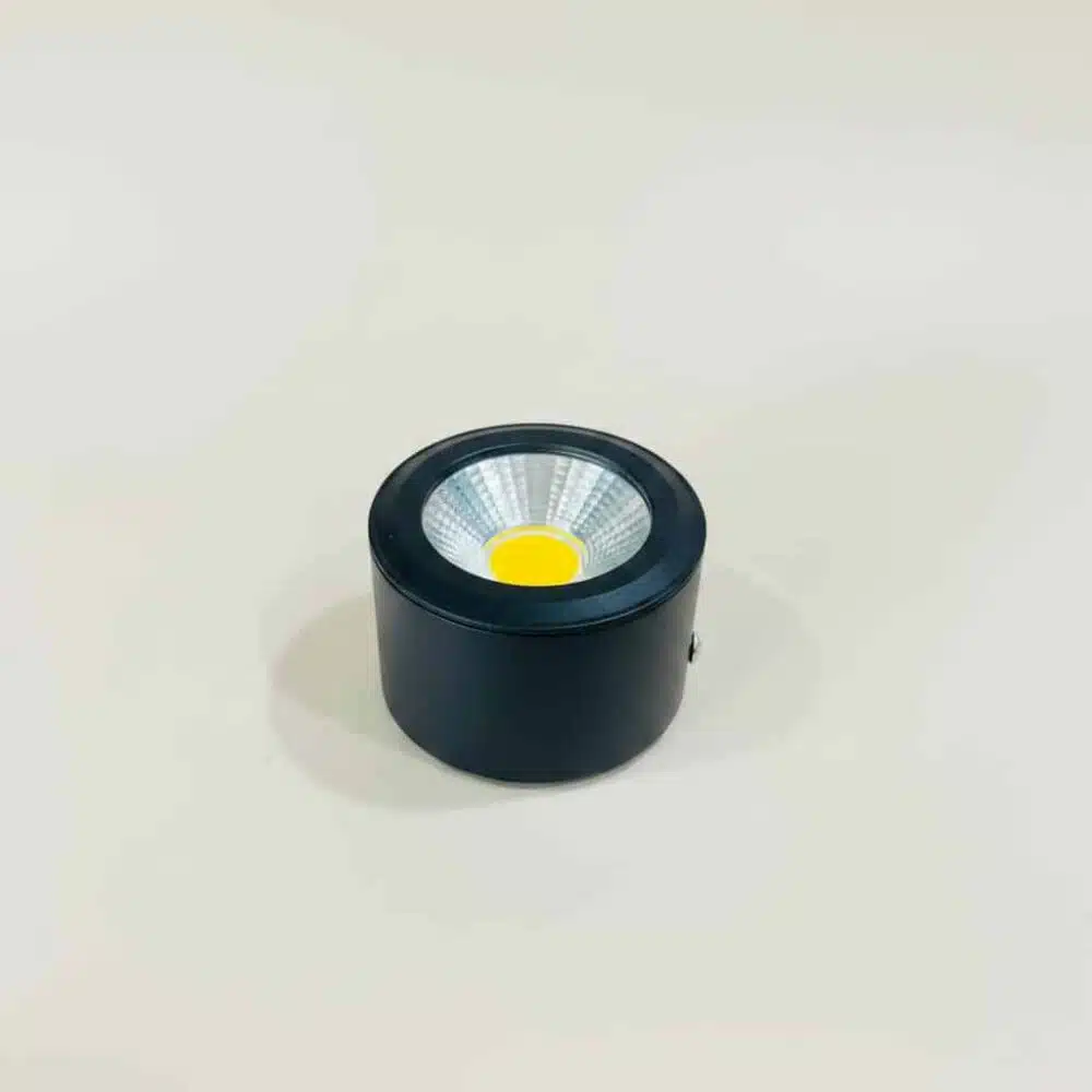 LED Down Light