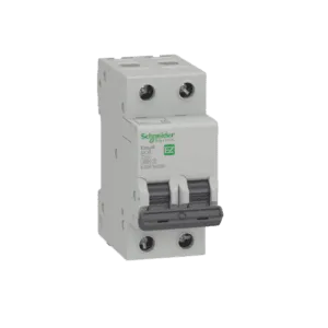 Schneider 2p MCB