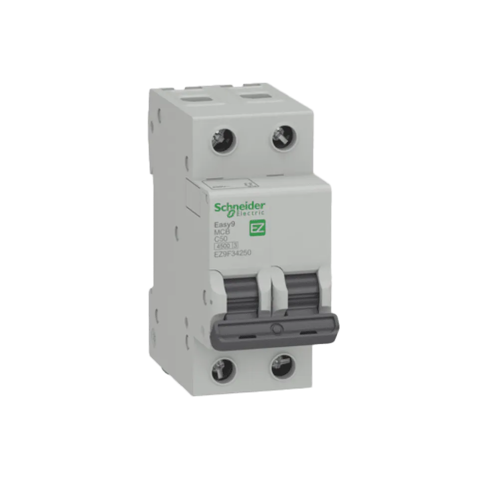 Schneider 2p MCB