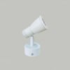5W Spot Light