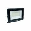 50W Green Flood Light